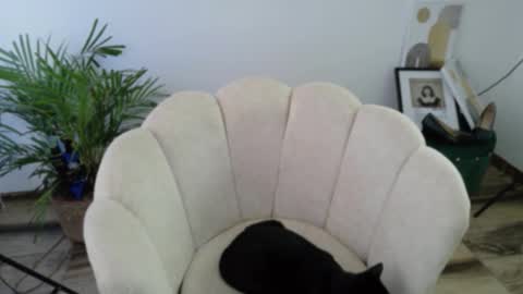 Feelena online show from October 15, 7:49 pm