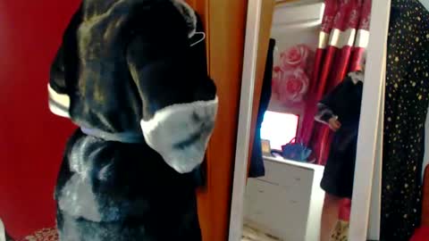 pregnant hairyc2cbigboobs mature online show from February 11, 11:12 pm