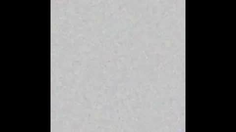 charlie online show from February 2, 9:19 am