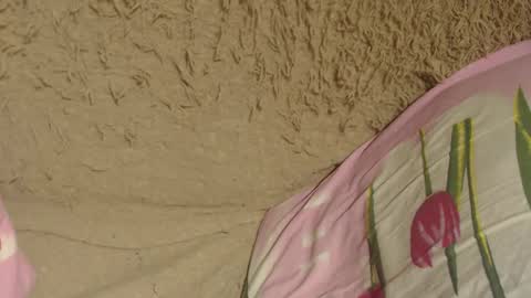 say meow and send tip  online show from December 9, 7:07 pm