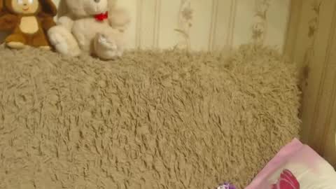 say meow and send tip  online show from December 25, 11:20 pm