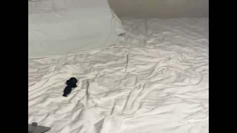 fluffy_bunnyxxx online show from October 20, 5:16 pm