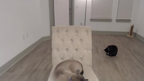 Angel online show from February 2, 7:30 am