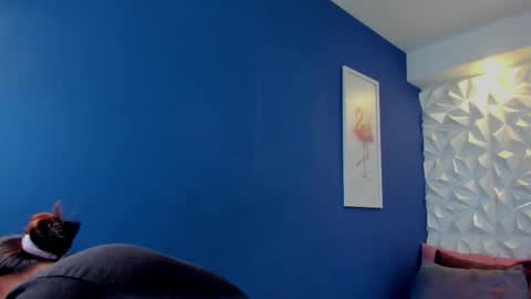 Freya online show from November 12, 11:30 am