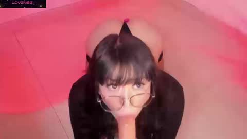 PROXIMO SHOW DICIEMBRE 3   NEXT SHOW DECEMBER 3    online show from September 19, 9:58 pm