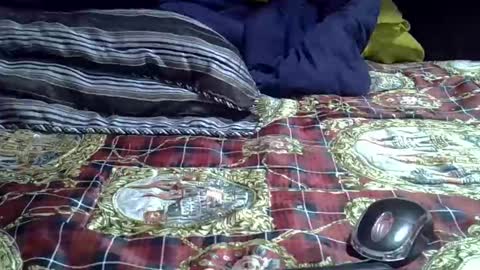 gasielah online show from September 22, 6:39 pm