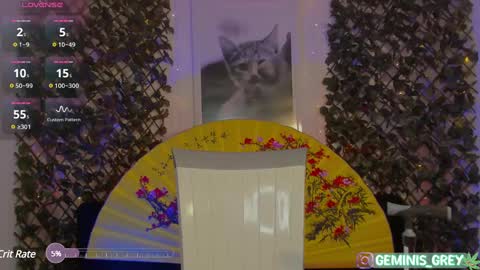 Geminis online show from February 28, 2:53 am