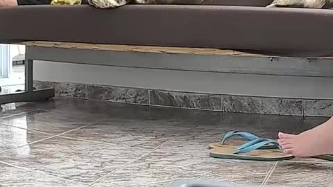 goddesshannahfeet_ online show from April 13, 4:41 pm