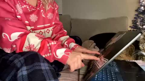 GoddessMayvn online show from December 26, 12:57 am