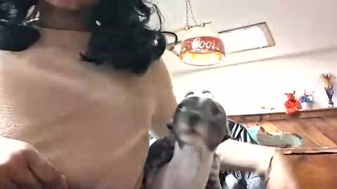 goddessxxamina online show from January 13, 4:29 am