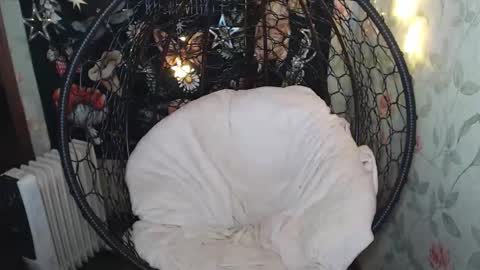 Lina online show from December 5, 6:20 pm