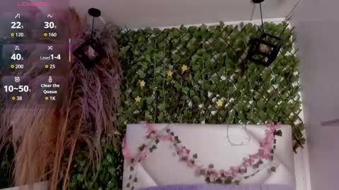 HAIILY online show from November 22, 2:53 pm