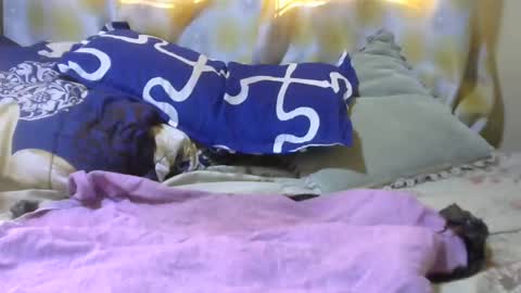 hairypussybigassy001 online show from January 25, 5:40 am