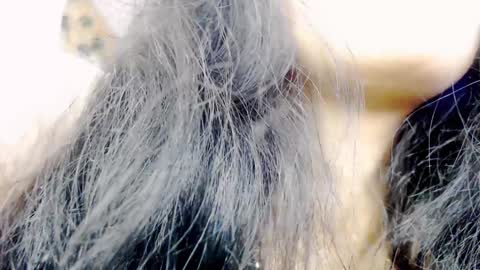 HANMy Dears make sure to follow me here create a FREE account if you dont have one and chat thank you. online show from January 16, 8:43 am