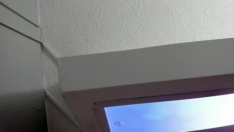 HANNY online show from February 1, 11:54 am