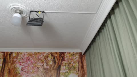 Hellen online show from January 23, 9:07 pm