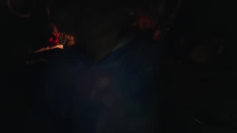 Hemopoietic Candy online show from January 8, 11:25 am