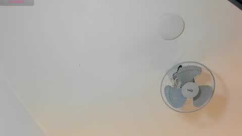 hilary_tailor online show from January 19, 11:06 am