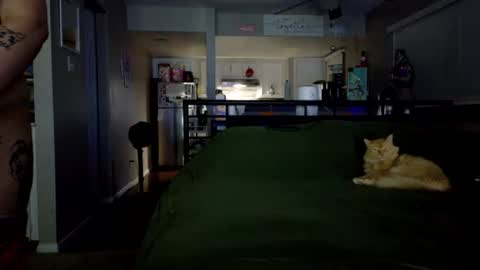 Honey online show from October 1, 2:16 am