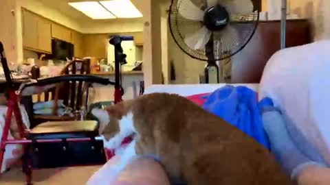 hope314 online show from April 4, 2:38 pm