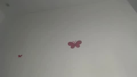 Iris online show from February 19, 9:24 pm