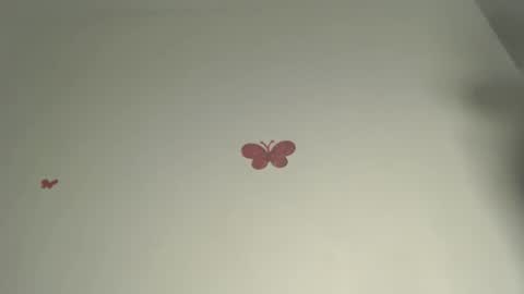 Iris online show from March 3, 9:32 pm