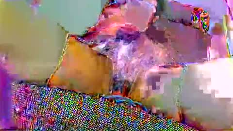 hujiajia520321431 online show from November 10, 12:22 pm