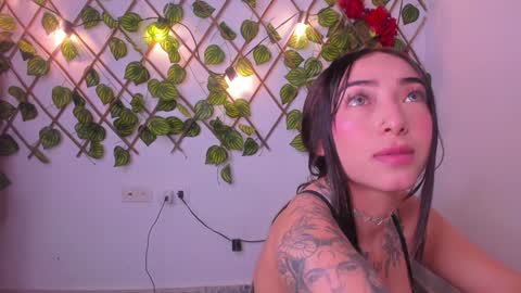 ....  Connection time 900 pm to 500 amRest days Wednesday and Saturday online show from December 7, 5:15 am