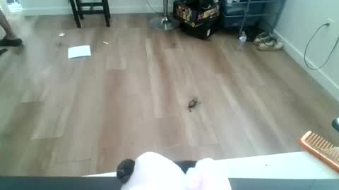 Jazzystelo online show from September 20, 12:32 am