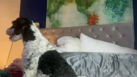 jenny1777 online show from June 21, 1:09 am