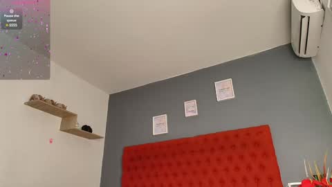 Jocy  online show from February 4, 12:44 pm