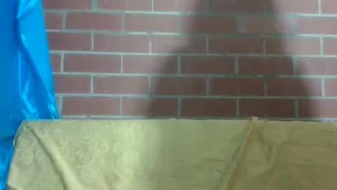 Scarlet online show from February 20, 4:50 am