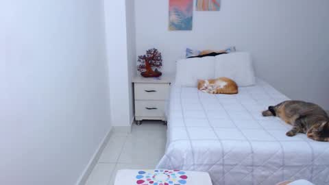 julia online show from December 28, 9:30 pm