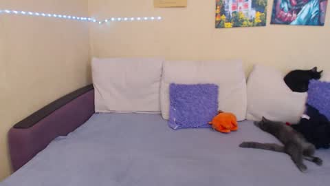 Jul online show from September 12, 2:02 pm