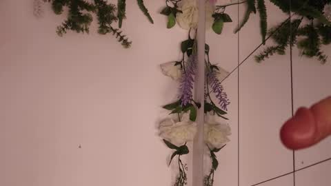 Nala online show from December 4, 2:30 pm