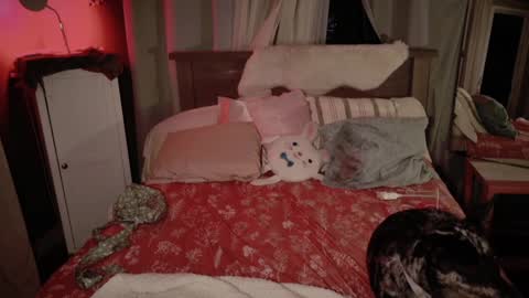 Kailee Smile online show from December 2, 4:47 am