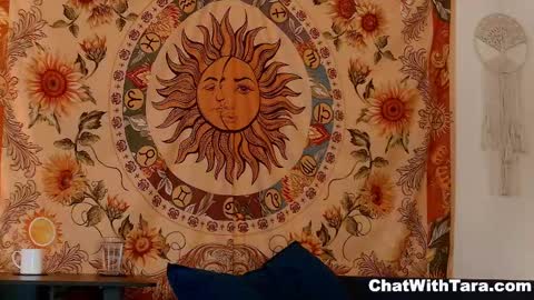 Tara Smith online show from December 8, 3:56 pm