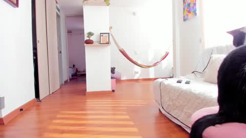 Karlye online show from January 22, 2:24 pm