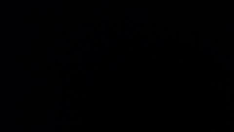 ARIANNA  online show from October 20, 5:43 am