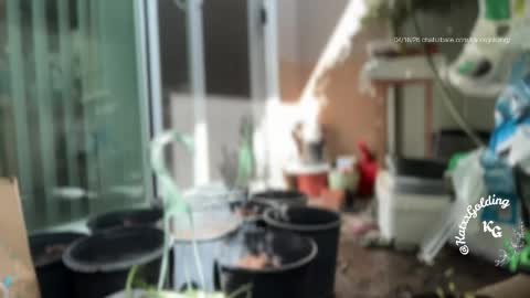 Princesse Kat  online show from April 18, 10:20 pm