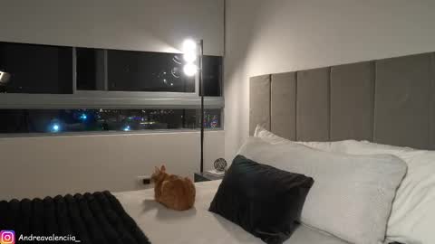 Andrea online show from February 19, 12:57 am