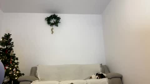 Kenna next time online - 2nd of Dec online show from December 11, 12:44 pm