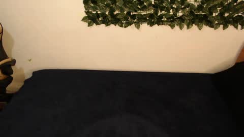 DANIELA online show from April 8, 11:23 am