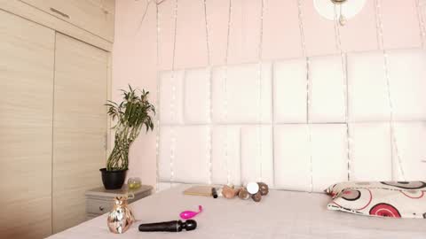    N         M online show from February 6, 11:31 am