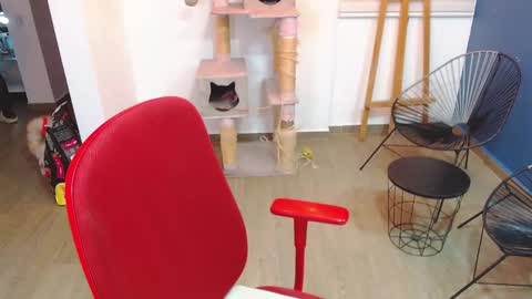 kintsugi online show from October 7, 2:49 am