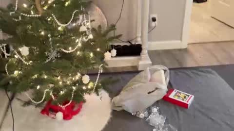 kittypurr79 online show from December 21, 6:17 am