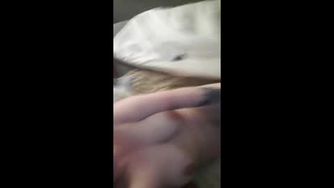 kristinebaby05 online show from February 20, 6:19 am