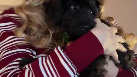 Kristy Nip slip shady  Best model on CB  online show from March 8, 1:26 am