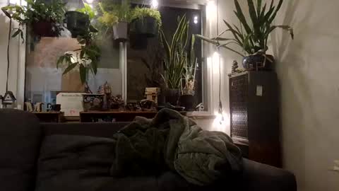 lacybell online show from September 16, 2:19 am