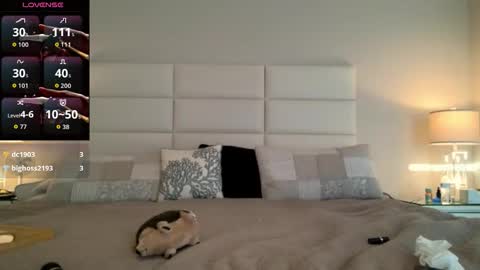 Ladybabs online show from February 8, 1:15 pm